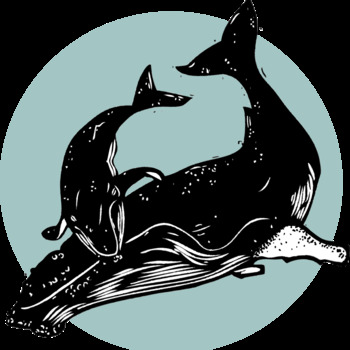 Avatar of Julia Reed