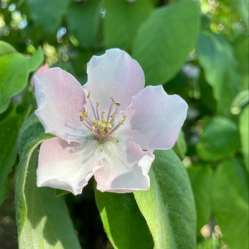 Avatar of Sheila Walker