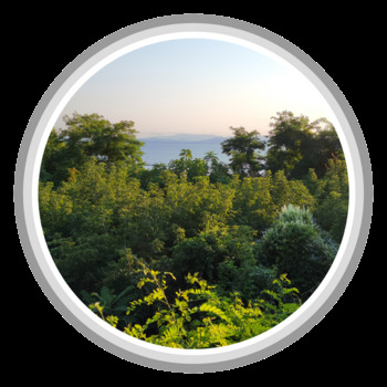 Avatar of Derek Zwyer