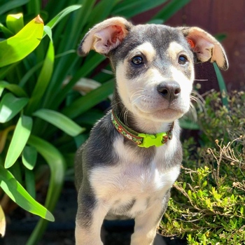 Avatar of Jacob Lapides