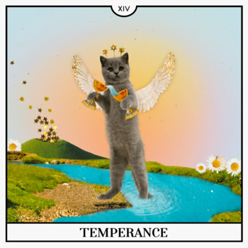 Avatar of Jennifer Ott