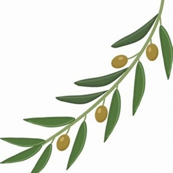 Avatar of Tanisa Bailey