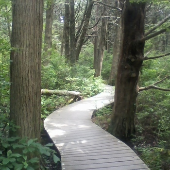 Avatar of Jeffrey Hunt