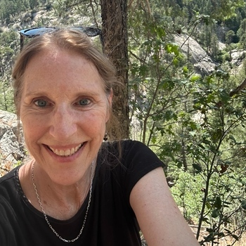 Avatar of Betsy Chabin, LCSW