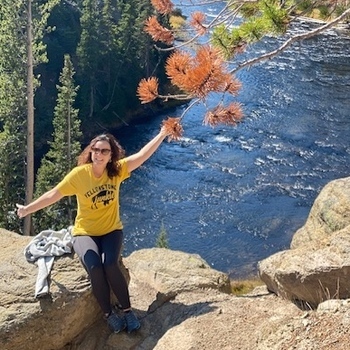 Avatar of Ginger Bradley, LSCSW