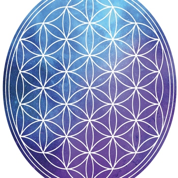 Avatar of Connor Wills