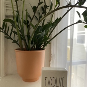 Avatar of Evolve Wellness Group