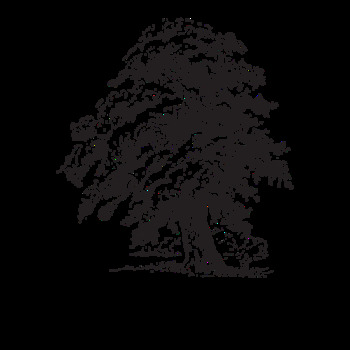 Avatar of Kat Edwards Postel