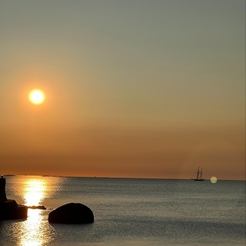 Avatar of Theodore Renard