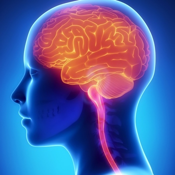 Avatar of MIAMI BEACH BEHAVIORAL HEALTH