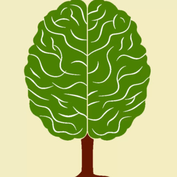 Avatar of Mario Hainesworth, LPCC, QMHS