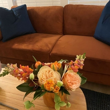 Avatar of Jennifer Reeves