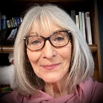 Avatar of Susan St.Vrain MA LMHC RYT 500