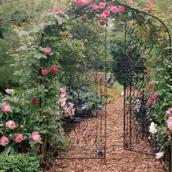 Avatar of Raymond Jones