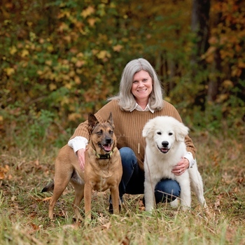 Avatar of Healing Chatt Counseling 