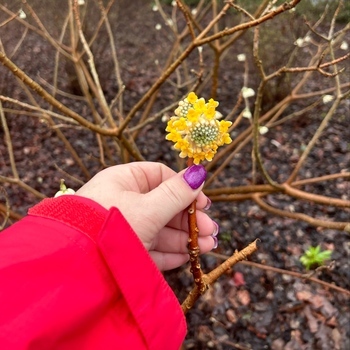 Avatar of Jen Whitehead