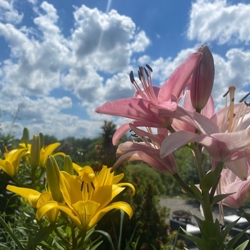 Avatar of Christopher Clinton