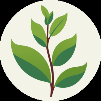 Avatar of Christine L Schlottman