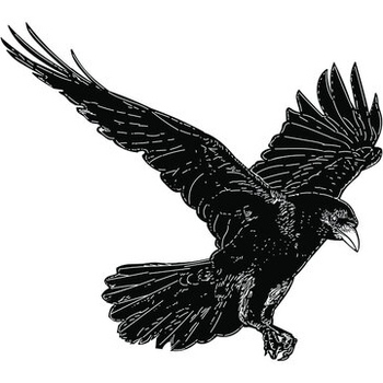 Avatar of James Yarrow