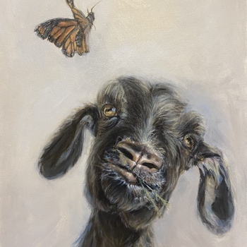 Avatar of Catherine Johnson