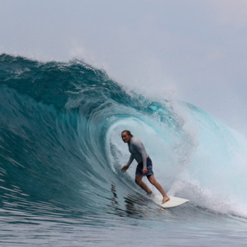 Avatar of Mark Perry