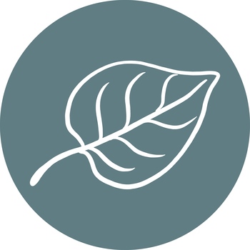 Avatar of Ana Eberly