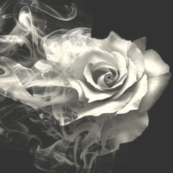 Avatar of Aimee Ashley, MA LPC/LPCC