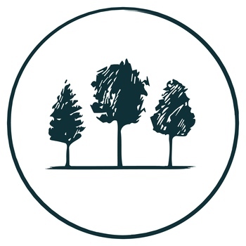 Avatar of Alison Roth-Kerner