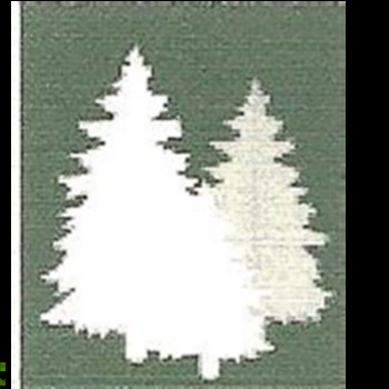 Avatar of Mary Brown