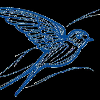 Avatar of Jessica S Barr