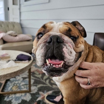 Avatar of Dr. Tracey A. Durkin