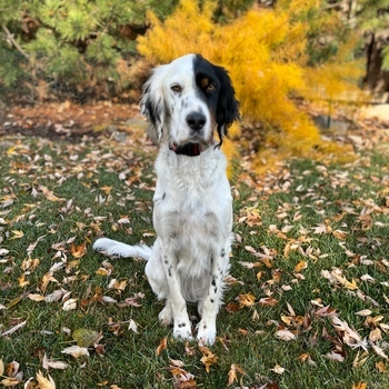 Avatar of Liz Banovetz, MA, LMFT