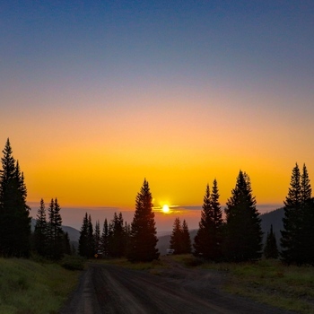 Avatar of Wild West LLC