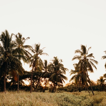 Avatar of Melissa Domeyer