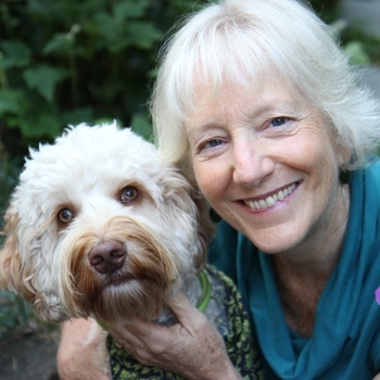 Avatar of suzanne mcdonald, she/her