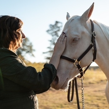 Avatar of Lisa Shoemaker, Therapist/Owner