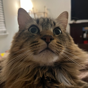 Avatar of Maggie Nail