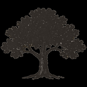 Avatar of Joshua Harrison