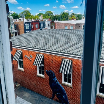 Avatar of Katie Copty