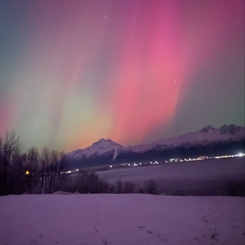 Avatar of Endless Blessings Counseling 