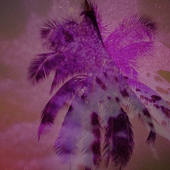 Avatar of Jessica Hiam