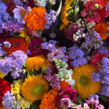 Avatar of Lisa Kimball