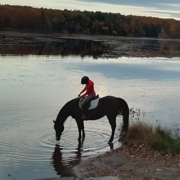 Avatar of Chauntelle Carty APRN, PMHNP-BC