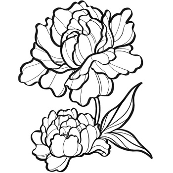 Avatar of Miki Hunter