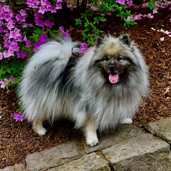 Avatar of R Scott Palmer