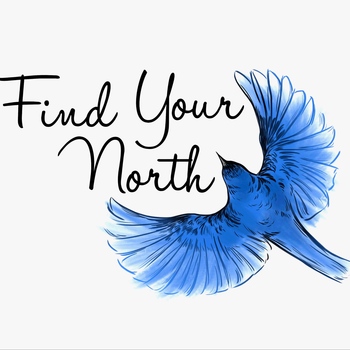 Avatar of Laura Krause