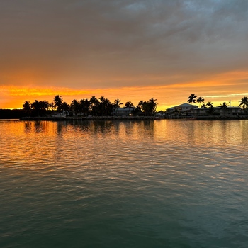 Avatar of Alexandra Gomez, PMHNP-BC, Psychiatric Mental Health Nurse Practitioner-Board Certified