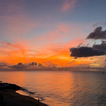 Avatar of Bruce P. Friedman, M.D.