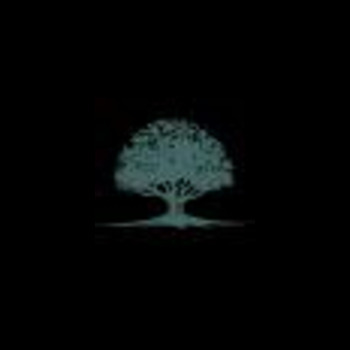 Avatar of Ivital Wellness