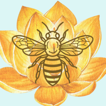 Avatar of Brenda Messer